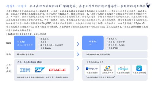 初心資本2021中國(guó)企業(yè)服務(wù)新趨勢(shì)報(bào)告 軟件開(kāi)發(fā)行業(yè)洞察與展望