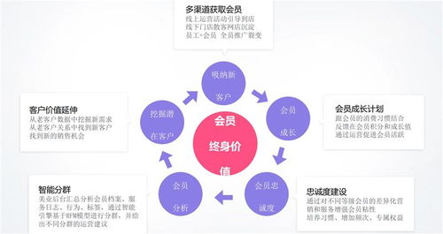 無棣多人拼團軟件評測 山東良行美業小程序與信息咨詢服務的深度解析
